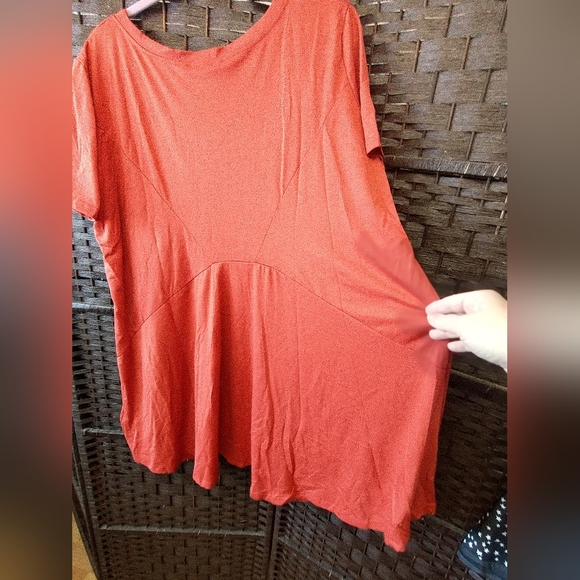 Sz 16 NWT MEASOR Pumpkin Spice Oversized Swing Dress - Picture 4 of 12